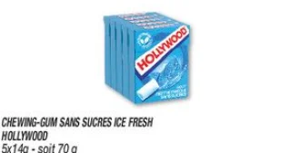 Chewing-gum sans sucres ice fresh