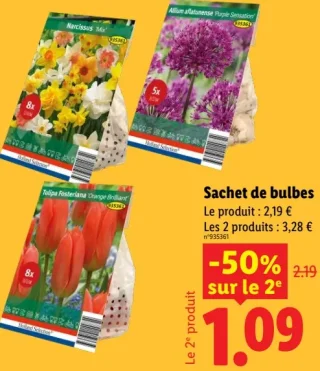 Sachet de bulbes Holland Selection