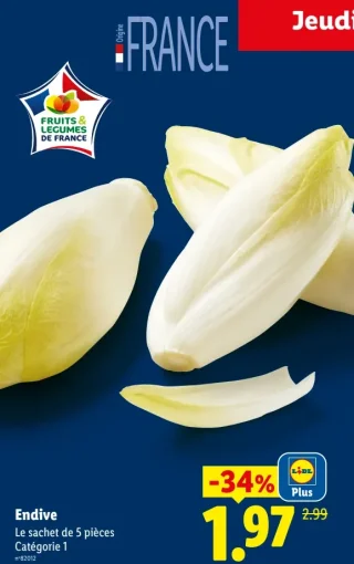 Endive