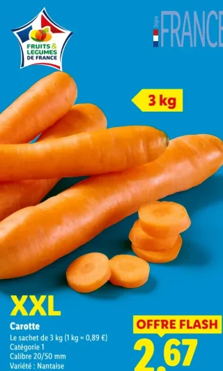 Carotte XXL