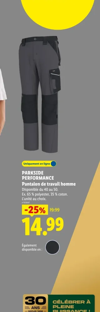 Pantalon de travail homme PARKSIDE PERFORMANCE