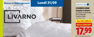 LIVARNO HOME Couette 4 saisons 140x200