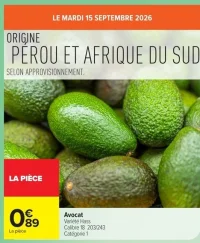 Avocat Variété Hass