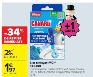 Bloc nettoyant WC CANARD