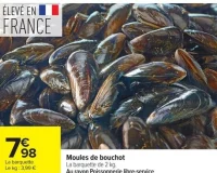 Moules de bouchot