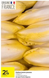 Endives jeunes pousses