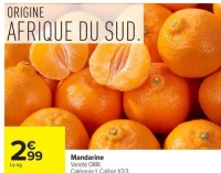Mandarine Variété ORRI