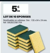 LOT DE 10 EPONGES