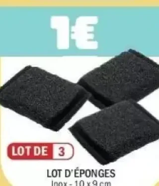 Lot d'éponges inox