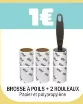 Brosse à poils + 2 rouleaux