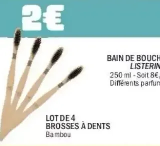 Lot de 4 brosses à dents bambou