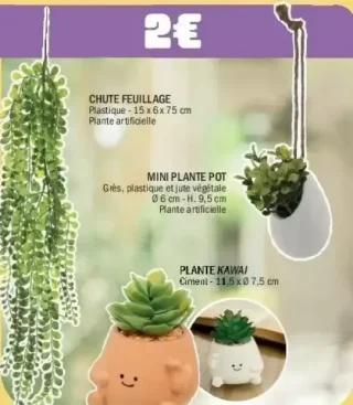 Chute feuillage, Mini plante pot ou Plante Kawai