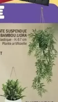 Plante Suspendue Bambou Liora