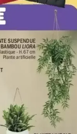 Plante Suspendue Bambou Liora