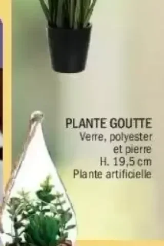 Plante Goutte