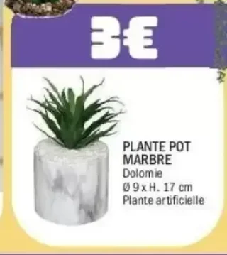 Plante Pot Marbre