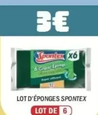 Lot d'éponges Spontex