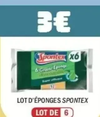 Lot d'éponges Spontex
