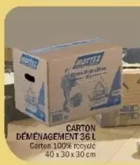Mottez Carton déménagement 36 L