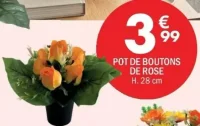 POT DE BOUTONS DE ROSE
