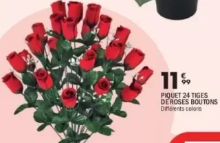 PIQUET 24 TIGES DE ROSES BOUTONS