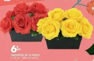 JARDINIÈRE DE 10 ROSES