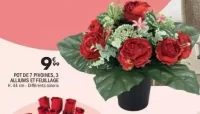 POT DE 7 PIVOINES, 3 ALLIUMS ET FEUILLAGE