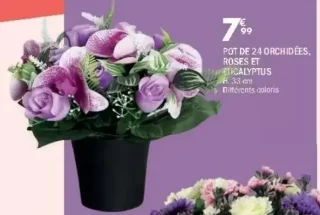 Pot de 24 orchidées, roses et eucalyptus