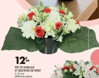 Pot de dahlias et boutons de rose