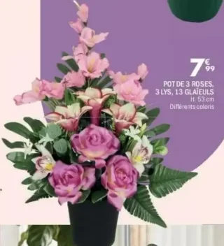 Pot de 3 roses, 3 lys, 13 glaïeuls