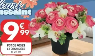 Pot de roses et orchidées