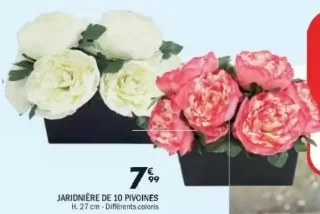 Jardinière de 10 pivoines