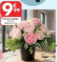 Pot de 12 roses