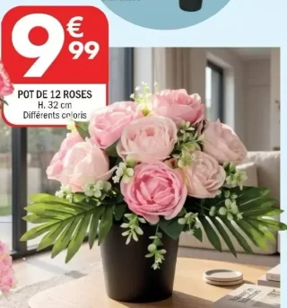 Pot de 12 roses