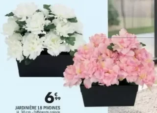 Jardinière 18 pivoines