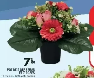 Pot de 5 gerberas et 7 roses
