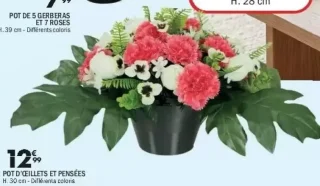 Pot d'œillets et pensées