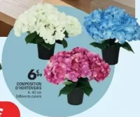 Composition d'hortensias
