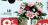 Promo Piquet de 19 tiges, lotus, roses, orchidées H. 35 cm