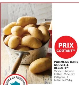 Pomme de terre nouvelle recolte Charlotte