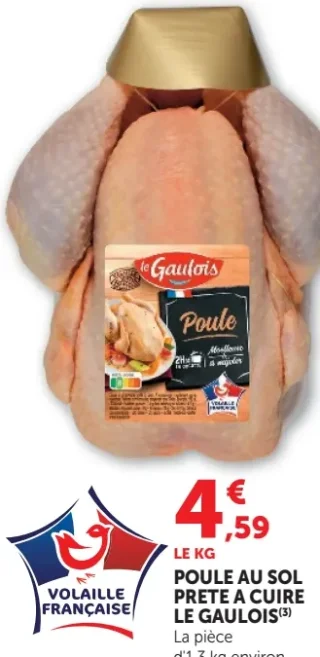 POULE AU SOL PRETE A CUIRE LE GAULOIS
