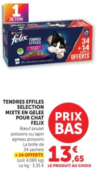 Tendres Efiles pour chat Felix
