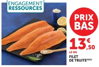 Filet de Truite