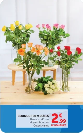 Bouquet de 9 roses