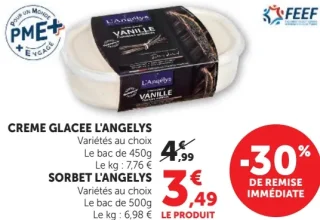 Crème Glacée / Sorbet L'Angelys
