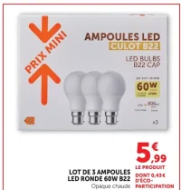 Ampoules LED Culot B22