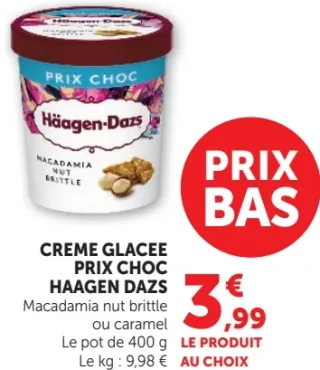 CREME GLACEE PRIX CHOC HAAGEN DAZS