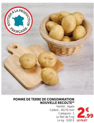 Pomme de terre de consommation nouvelle récolte Agata