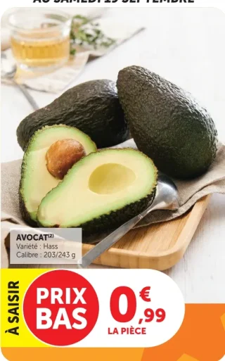 Avocat Hass