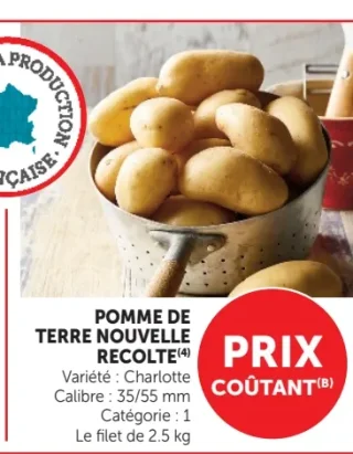 Pomme de Terre Nouvelle Recolte Charlotte